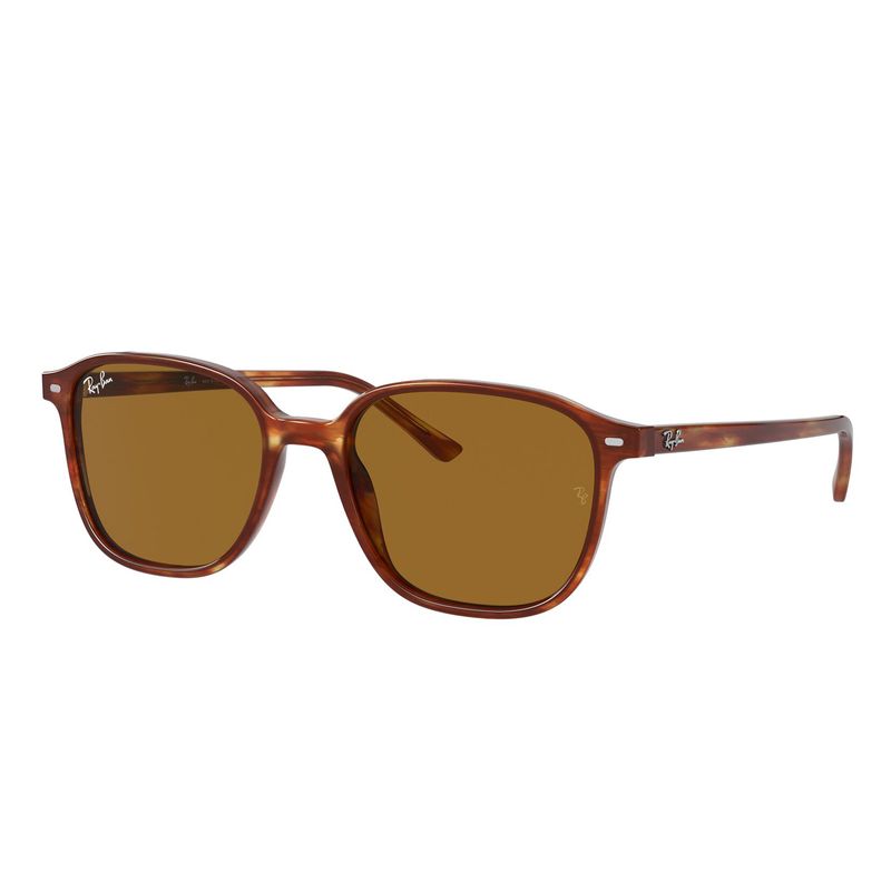 Gafas-de-Sol-0RB2193-954-3353-Mujer