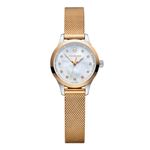 Reloj-Victorinox-Alliance-XS-241879