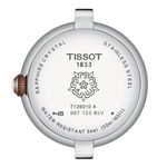T126.010.22.013.01_2