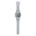 DW-5600FF-8DR_2