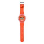 DW-6900GL-4DR_2